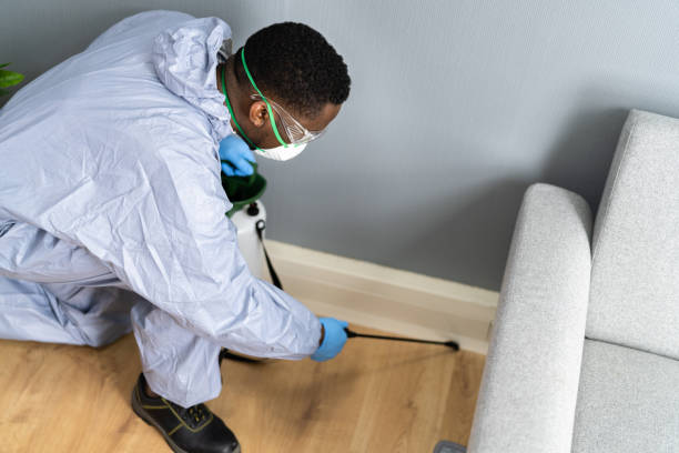 Emergency Pest Control Services in Glennville, GA